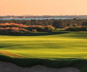 Abu Dhabi Golf Yas Links